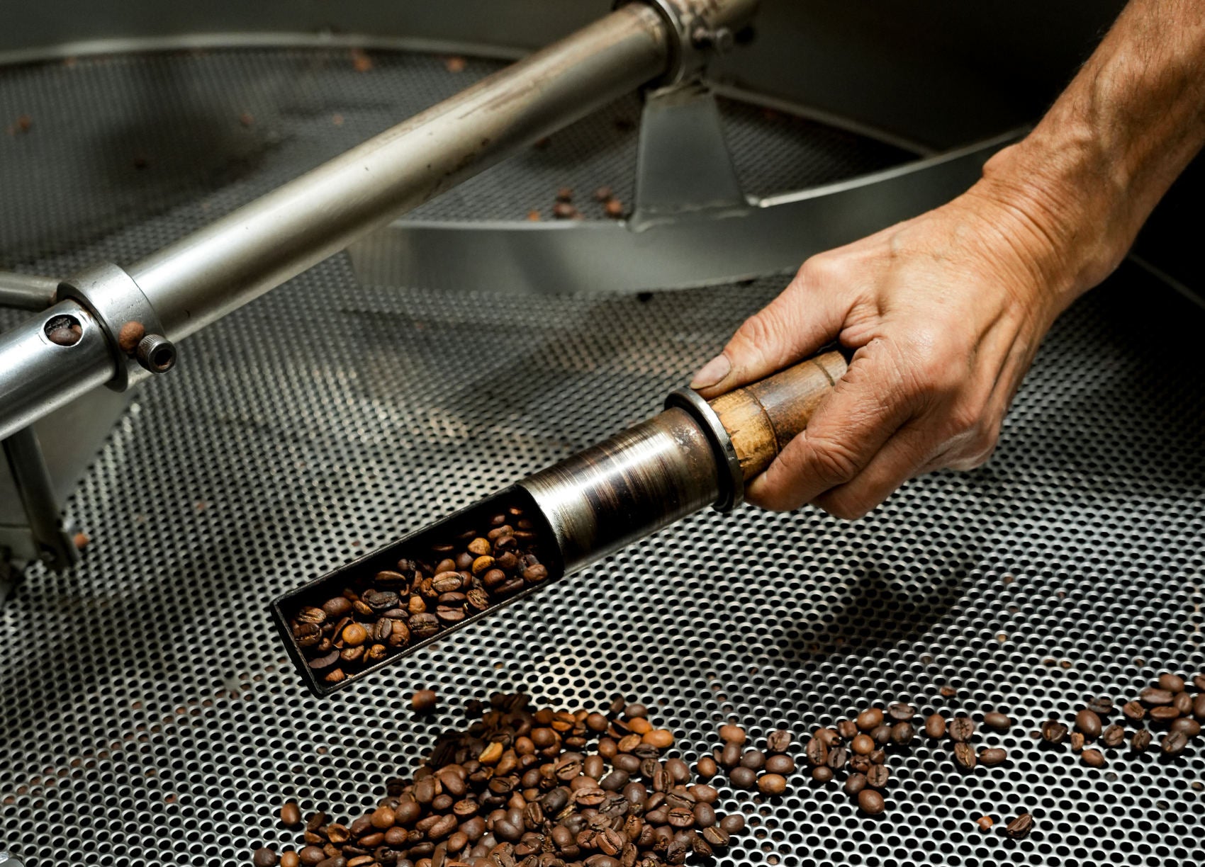 Sampling beans from the drum mid roast